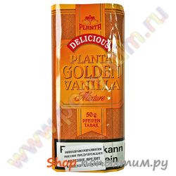    Planta Golden Vanilla