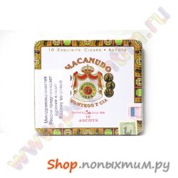  Macanudo Ascots