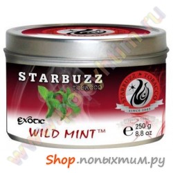    Starbuzz Wild Mint ( ) 250 .